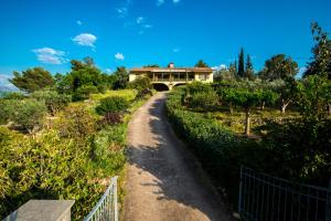 Aphrodite's Coast Retreat House! Parnassos Greece