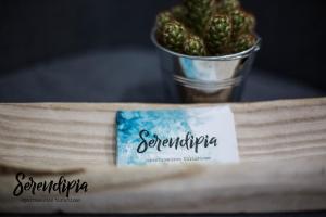 One-Bedroom Apartment room in Serendipia
