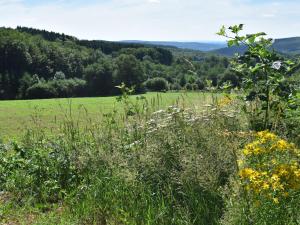 Maisons de vacances Spacious Holiday Home with Swimming Pool in Cuzy : photos des chambres