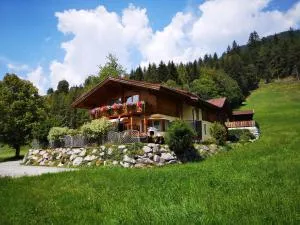 Ferienhaus Elisabeth - 福尔施陶