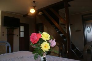 Agrodomki Okej - Dom Oleńka