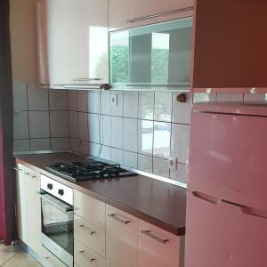 Pool Apartment Knezevic