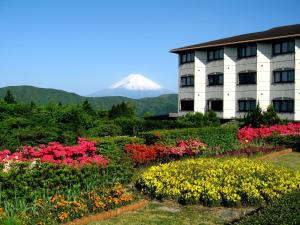 Hotel Green Plaza Hakone