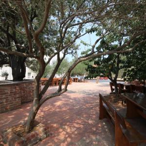 Pool Apartment Knezevic