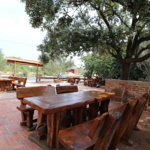 Pool Apartment Knezevic