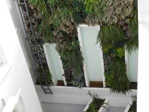 El Departamento de los Abuelos