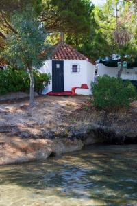 Camping Baia Saraceno img46