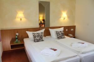 Standard Double Room room in Hotel Weisser Schwan