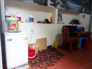 Nhà nghỉ Sơn Lâm - Panorama lake view