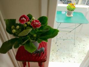 Archelaou Street Living