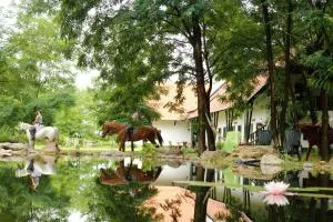 Hunor Lovastanya - Balázspuszta