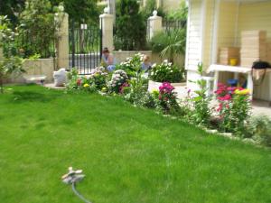 Vladimirov Guest House
