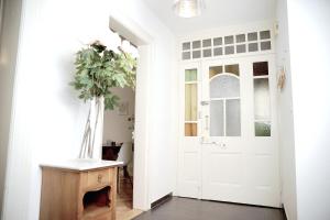 Central Bright & Cozy Apartments