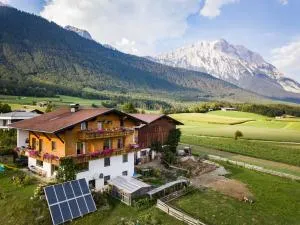 Fink-Hof - تيلفس