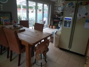 The garden room, pets, fridge Tv