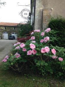 Maisons d'hotes Le Domaine De Pomone : photos des chambres