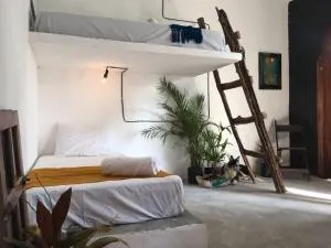 Black Jaguar Hostel - Bacalar