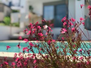 Creta Blue Boutique Hotel Heraklio Greece