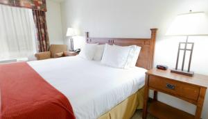 Standard Room room in Holiday Inn Express Hotel & Suites Mattoon an IHG Hotel