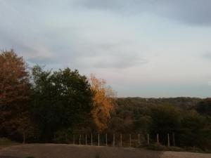 Maisons de vacances les roches du Cabellou 150M de la mer : photos des chambres