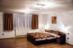 Deluxe Family Room room in Pensiunea SilvAnka