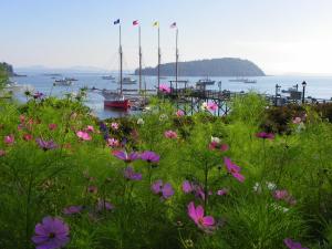 Bar Harbor Inn and Spa