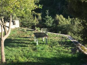 Chalet in the Forest Achaia Greece