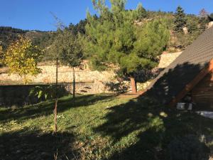 Chalet in the Forest Achaia Greece