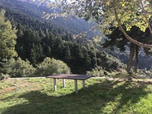 Chalet in the Forest Achaia Greece