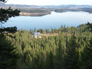 Little Black Bear LodgeB&B