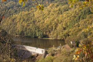 Maisons de vacances gite de Sauviat 25 chemin du grand Pacher le bourg de Sauviat 63120 : photos des chambres