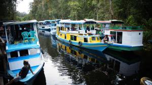 houseboat kelotok bee