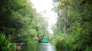 houseboat kelotok bee
