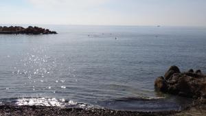 Apartamento Moriones A. A150 m del mar en centro de ciudad