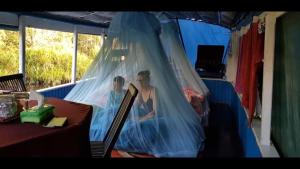 Kelotok Orangutan Tanjung Puting