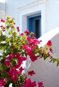 Mitos Suites Naxos Greece