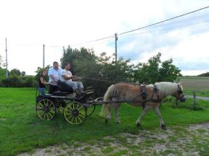 B&B / Chambres d'hotes Aux Cadollines : photos des chambres