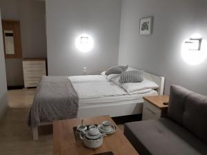 Apartamenty Białe Studia Gliwice otwarte dla osób korzystających z planowanych badań i zabiegów w szpitalach pełna dezynfekcja ozonowanie