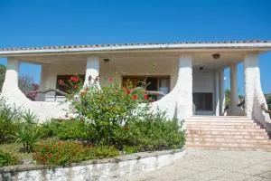 Veranda Piau - تيرتينيا