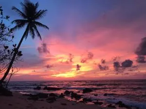 Piumi House - 平谷