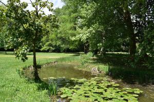 B&B / Chambres d'hotes Manoir de Plaisance : photos des chambres