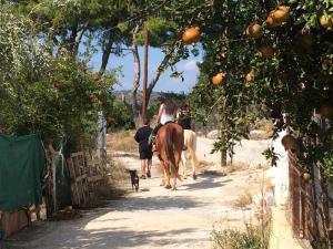 Perivoli Country Hotel & Retreat Argolida Greece