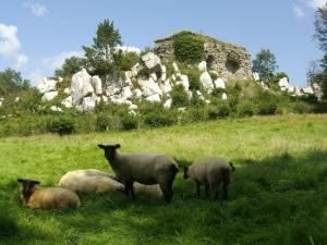 Villas Detached villa in a beautiful area : photos des chambres