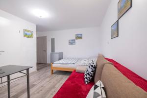 Studio Southwest 2 semi-basement