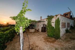 3 hvězdičkový chata Ecological Vineyard House Banjol Chorvatsko