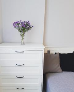 Apartamenty Studencki No 1
