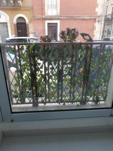 Locazione Turistica "nta Casuzza"