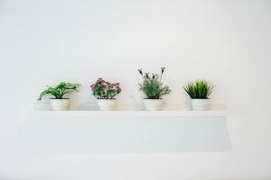 Your second home in Chiado