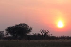 The Namushasha River Villa