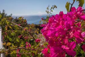 Sea View Villa in Skala countryside Villa 3 Kefalloniá Greece